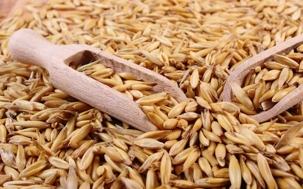 Organik yulaf taneleri tahta kaşıkla, sağlıklı beslenme