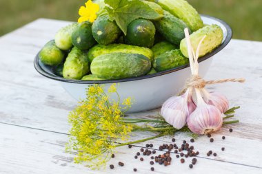 Salatalık metal kase ve güneşli günde bahçe salatalık dekapaj baharatlar