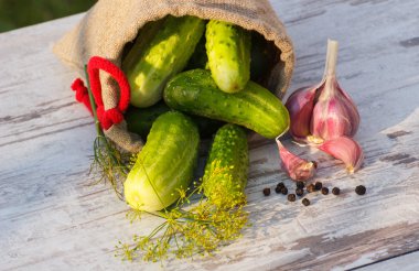Cucumbers in jute bag and spices for pickling cucumbers on table on sunny day