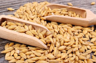 Arpa buğday ahşap zemin üzerine kaşıkla