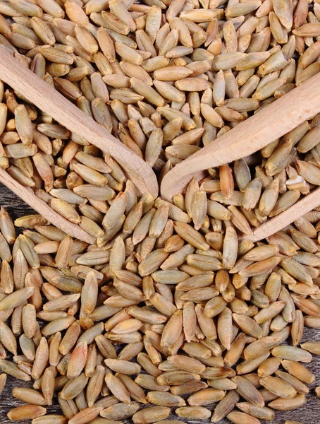 Ржаное зерно с ложкой на деревянном фоне — стоковое фото