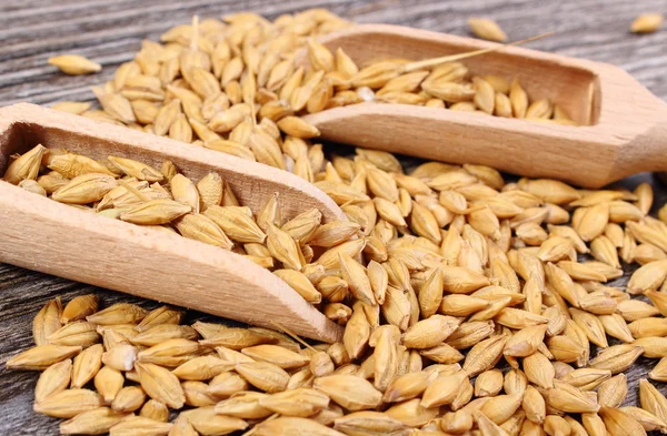 Arpa buğday ahşap zemin üzerine kaşıkla