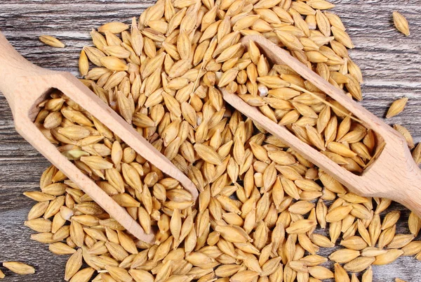 Ячменное зерно с ложкой на деревянном фоне — стоковое фото