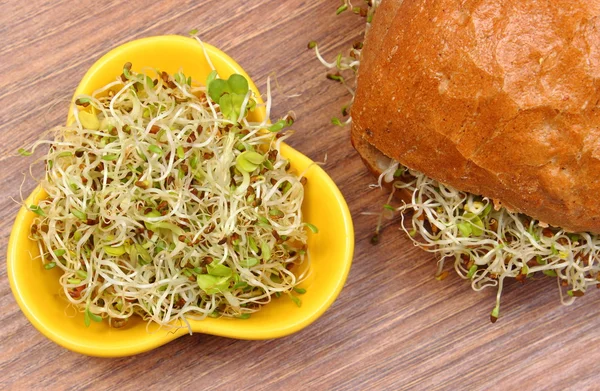 Alfalfa en radijs spruiten met volkorenbrood roll — Stockfoto