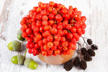 Kırmızı sonbahar rowan, kızılağaç koni ve meşe palamutları rustik ahşap zemin üzerine