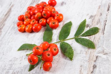 Demet yapraklarla rustik ahşap arka plan üzerinde kırmızı rowan