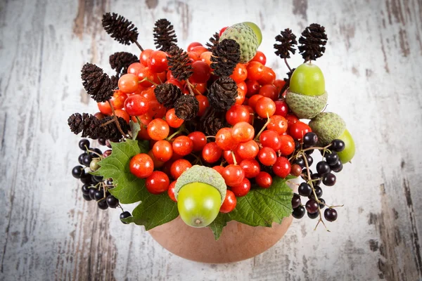 Bando de viburnum vermelho com cone de amieiro e bolotas em fundo de madeira rústica — Fotografia de Stock