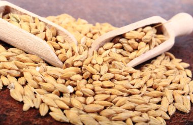 Arpa buğday tahta kaşıkla yığını