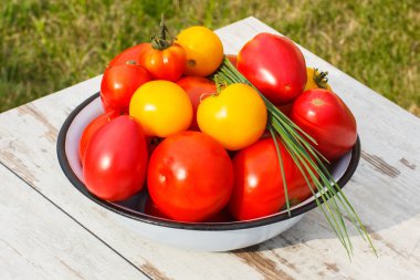 Güneşli gün bahçede yeşil chives ile metal kapta domates