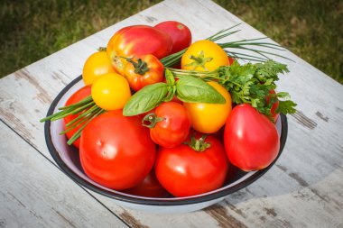 Yeşil maydanoz ve güneşli gün bahçede chives ile metal kapta domates