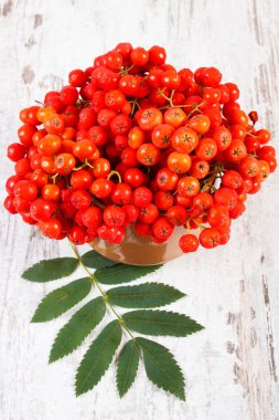 Demet yapraklarla rustik ahşap arka plan üzerinde kırmızı rowan