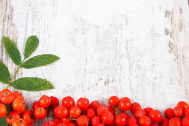 Red rowan with leaves with copy space for text on wooden background