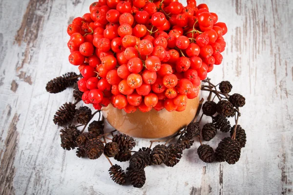 Bunch of red autumn rowan and alder cone on rustic wooden background — Stock Fotó