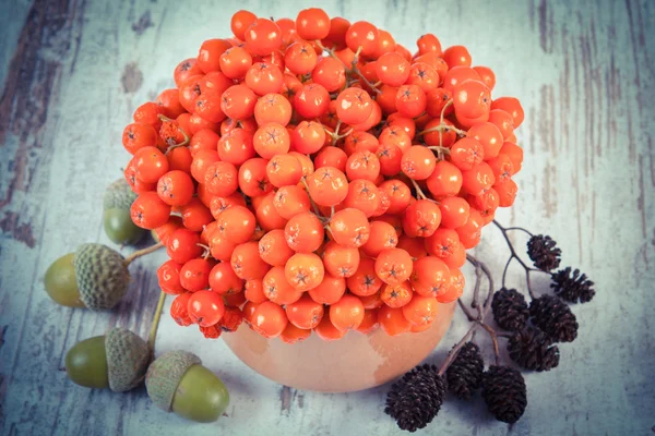 Vintage foto, Bunch of red autumn rowan, amieiro cone e bolotas no fundo de madeira rústica — Fotografia de Stock