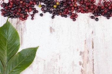 Autumn fresh elderberry with leaf and copy space for text on old wooden background