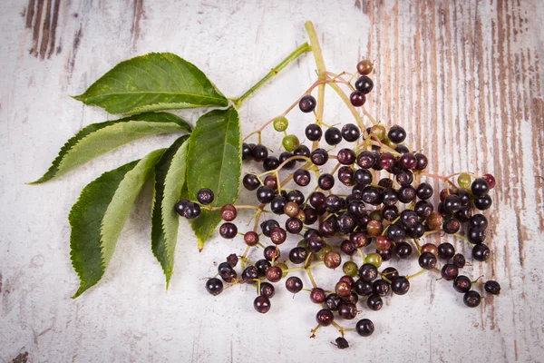 Bunch of fresh elderberry with leaves on old wooden background, healthy food — Stock Fotó