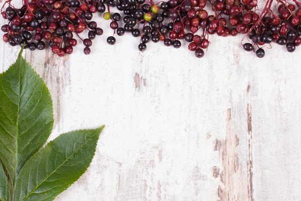 Autumn fresh elderberry with leaf and copy space for text on old wooden background — Stock Fotó