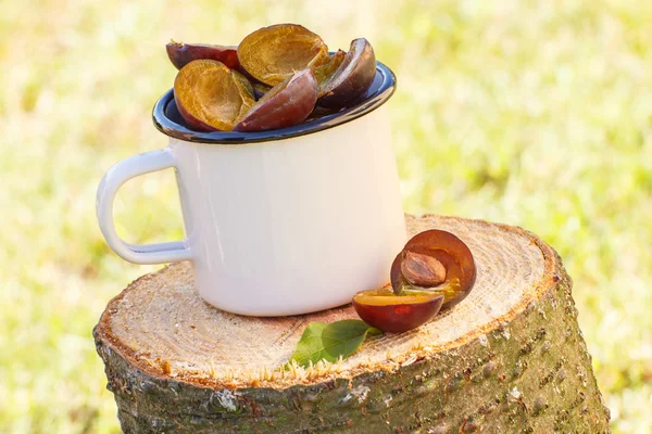 Plums in metallic mug on wooden stump in garden on sunny day — Stock Photo, Image