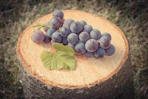 Foto Vintage, Uvas con hoja en tocón de madera en el jardín en el día soleado —  Fotos de Stock