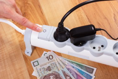 Elektrik güç uzatma kablosuna bağlı Tak ve Polonya para birimi para, enerji maliyetleri ile