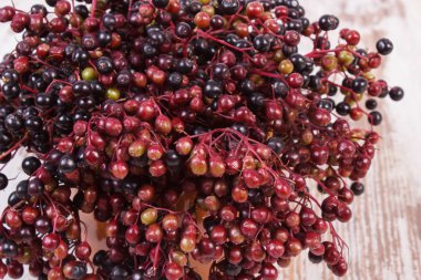 Eski ahşap zemin, sağlıklı gıda üzerine taze mürver demet