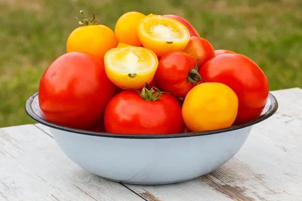Pomidory w misce metali w ogrodzie na słoneczny dzień — Zdjęcie stockowe