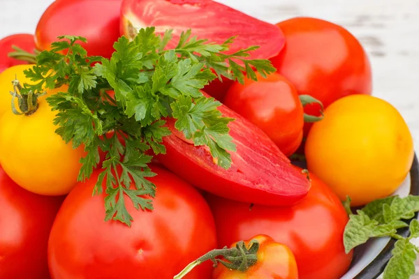 Domates yeşil yaprakları ve güneşli Bahçe metal kapta maydanoz ile