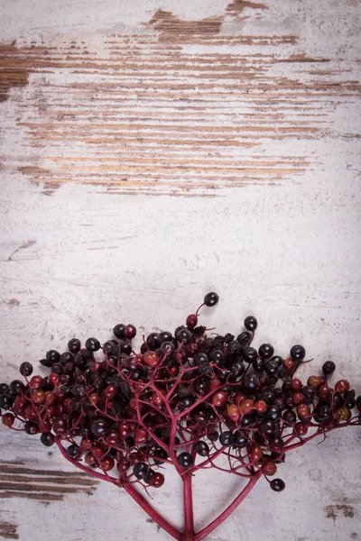 Bunch of fresh elderberry on old wooden background, copy space for text — Stock Fotó
