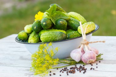 Salatalık metal kase ve güneşli günde bahçe salatalık dekapaj baharatlar