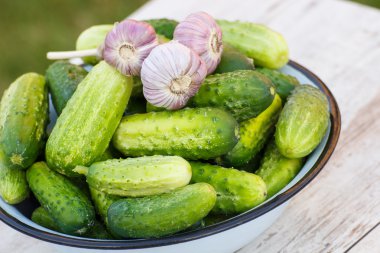 Salatalık ve güneşli Bahçe metal kapta sarımsak