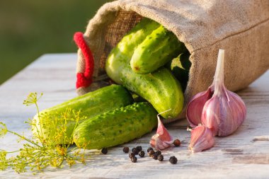 Cucumbers in jute bag and spices for pickling cucumbers on table on sunny day