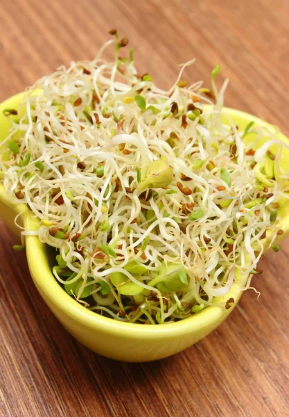 Cuenco con alfalfa y brotes de rábano en mesa de madera — Foto de Stock