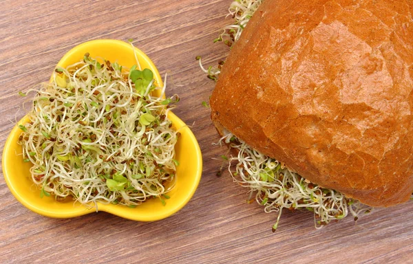 Brotes de alfalfa y rábano con panecillo integral —  Fotos de Stock