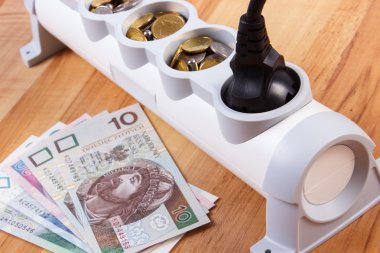 Elektrik güç uzatma kablosuna bağlı Tak ve Polonya para birimi para, enerji maliyetleri ile