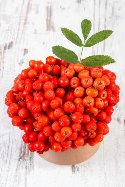 Bando de rowan vermelho com folhas no fundo de madeira rústico — Fotografia de Stock