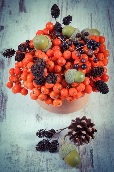 Vintage photo, Autumn fruits of forest on rustic wooden background — ストック写真