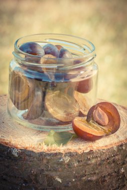 Vintage photo, Plums in glass jar on wooden stump in garden on sunny day