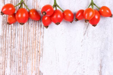 Ahşap arka plan üzerinde metin için vahşi kırmızı gül ve kopya alanı