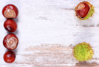 Kestane ve kopya alanı ahşap arka plan üzerinde metin için sonbahar dekorasyon