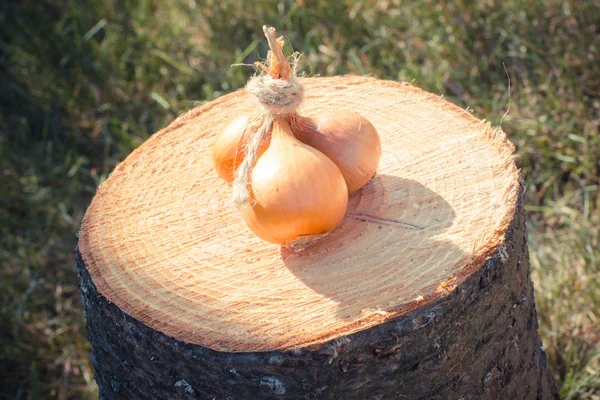Foto vintage, Cebollas naturales sin pelar en tocón de madera —  Fotos de Stock
