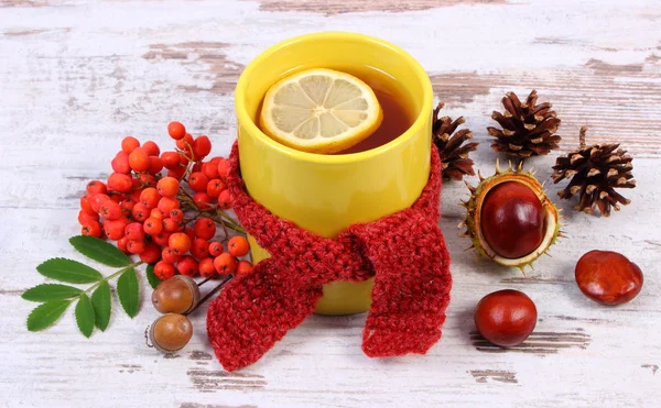 Taza de té con pañuelo de lana envuelto en limón, bebida caliente para la gripe, decoración de otoño — Foto de Stock