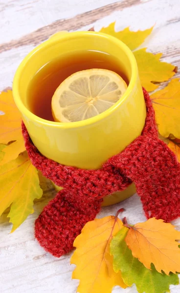 Cup of hot tea with lemon wrapped woolen scarf and autumnal leaves, warming beverage for flu — Stock Photo, Image