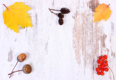 Ahşap arka plan üzerinde metin için sonbahar dekorasyon ve kopya alanı