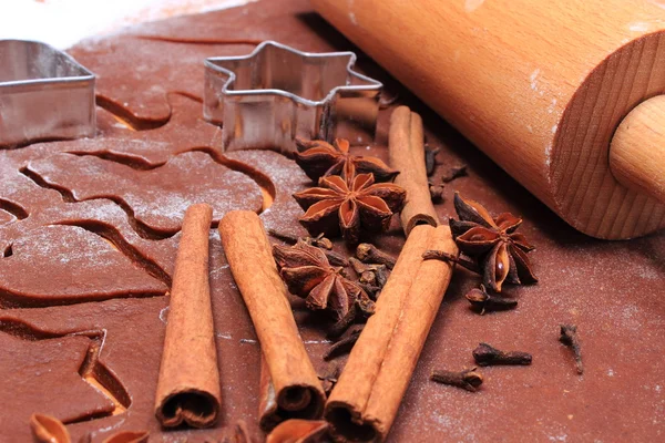 Spice en accessoires voor het bakken op deeg voor Christmas cookies en peperkoek — Stockfoto