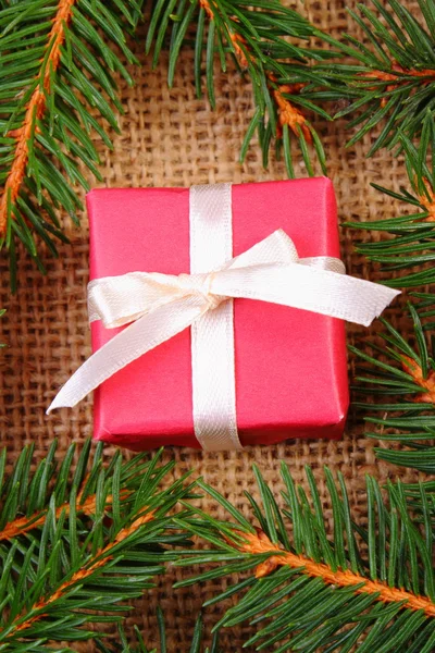 Wrapped gift for Christmas or other celebration and spruce branches — Stok fotoğraf