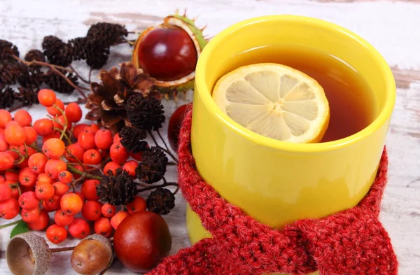 Taza de té con pañuelo de lana envuelto en limón, bebida caliente para la gripe, decoración de otoño — Foto de Stock