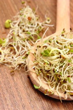 Yonca ve turp lahanası vurgunun, ahşap arka plan