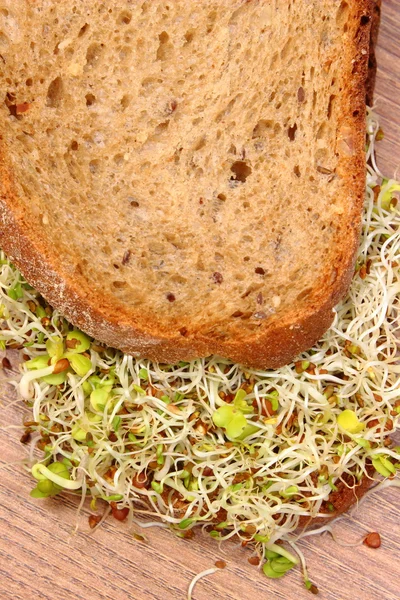 Pane integrale con erba medica e germogli di ravanello — Foto Stock