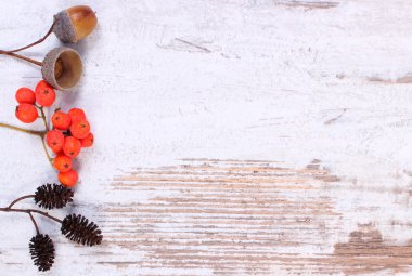 Ahşap arka plan üzerinde metin için sonbahar dekorasyon ve kopya alanı