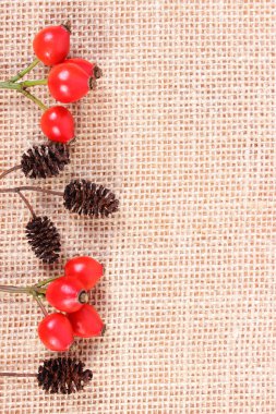 Jüt tuval üzerine sonbahar dekorasyon